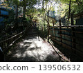 A staircase surrounded by a bamboo fence, with sunlight filtering through the trees, and a scene of an old Japanese town. 139506532
