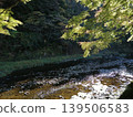 A beautiful valley landscape with maple leaves shining in the autumn sunlight and a gently flowing river. 139506583