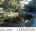 A beautiful valley landscape with maple leaves shining in the autumn sunlight and a gently flowing river. 139506584