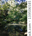 A beautiful valley landscape with maple leaves shining in the autumn sunlight and a gently flowing river. 139506585