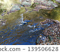 The sky reflected on the clear river surface and the fallen autumn leaves piled up on the rocks. 139506628