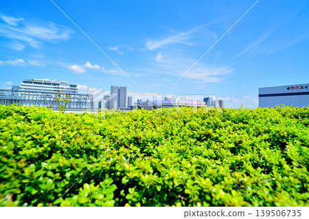 Scenery seen from the roof greening plaza of Toyosu Market Scenery seen from the roof greening plaza of Toyosu Market 139506735