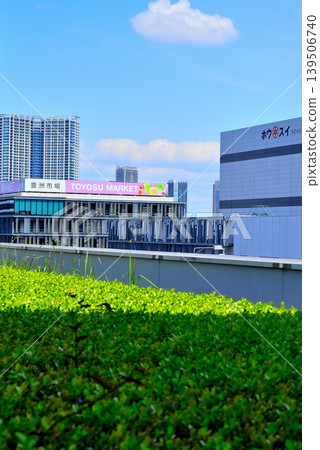 Scenery seen from the roof greening plaza of Toyosu Market Scenery seen from the roof greening plaza of Toyosu Market 139506740