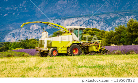 Farmers harvest lavender by machine to maximize efficiency. Provence France. Farmers harvest lavender by machine to maximize efficiency. Provence France. 139507058