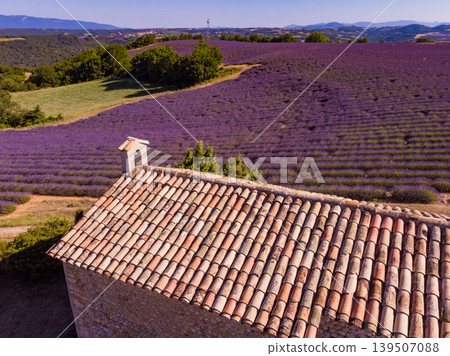 Lavender field and chapel at Entrevennes village, France. Aerial view 139507088
