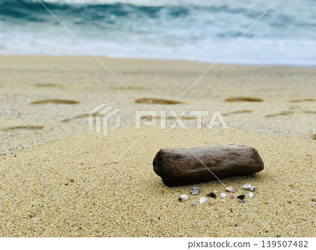 seashells on the beach seashells on the beach 139507482