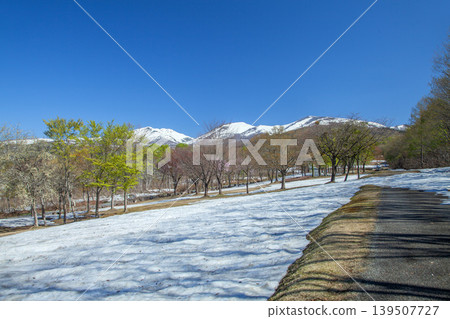 月山弓張平公園的春天 月山弓張平公園的春天 139507727