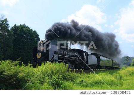 SL Yamaguchi D51 4661 139508491
