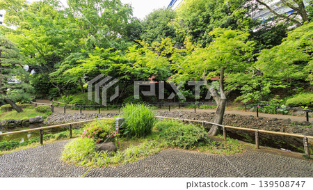 初夏時節,我們的花園 初夏時節,我們的花園 139508747