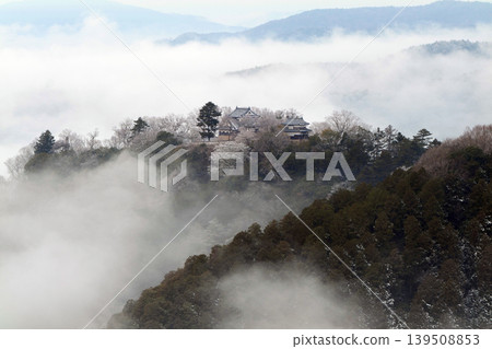 冬日雲海與備中松山城(天空之城)25681 冬日雲海與備中松山城(天空之城)25681 139508853