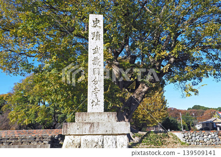 武藏國分寺遺址歷史紀念碑(東京都國分寺市) 武藏國分寺遺址歷史紀念碑(東京都國分寺市) 139509141