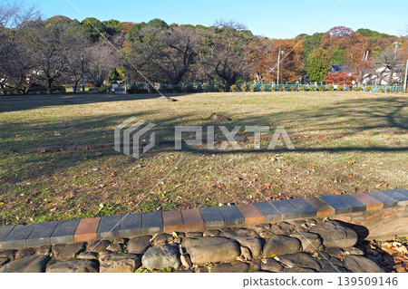 武藏國分寺遺址(東京都國分寺市) 武藏國分寺遺址(東京都國分寺市) 139509146