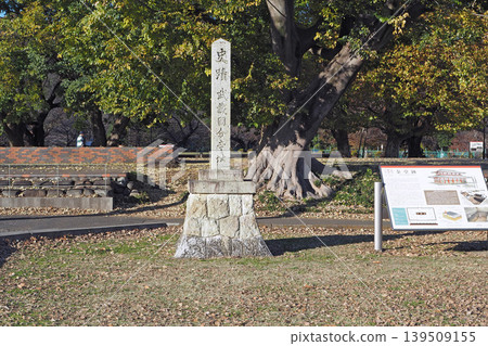 武藏國分寺遺址歷史紀念碑(東京都國分寺市) 武藏國分寺遺址歷史紀念碑(東京都國分寺市) 139509155