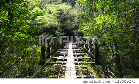 Jomon Cedar Trekking - Trolley Track Jomon Cedar Trekking - Trolley Track 139509275
