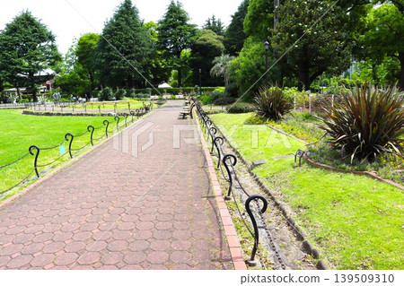 在公園散步的人們 在公園散步的人們 139509310