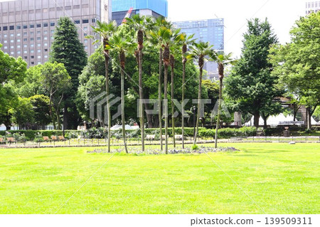 公園與綠色 公園與綠色 139509311
