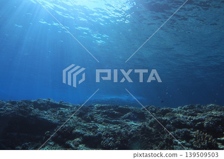 Zamami Island, Otokoiwa Rock: Light shining into the sea (underwater photography) 139509503