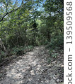 Landscape in the forest 139509568
