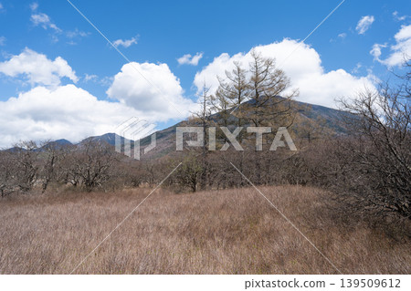 Senjogahara (Oku-Nikko) Senjogahara (Oku-Nikko) 139509612