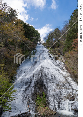 Yudaki Falls (Oku-Nikko) Yudaki Falls (Oku-Nikko) 139509630