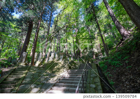 山形縣山寺市雪松林中,石階兩側排列著石雕佛像和紀念碑。 山形縣山寺市雪松林中,石階兩側排列著石雕佛像和紀念碑。 139509784