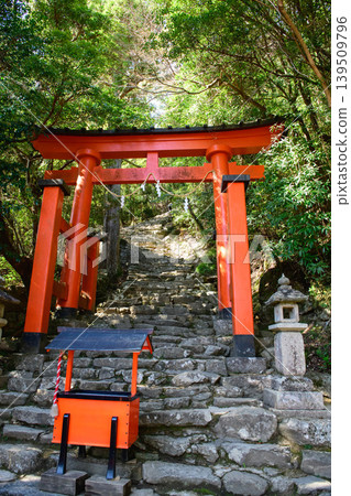 The pilgrimage route to Kamikura Shrine begins with a steep stone staircase. (Wakayama Prefecture) The pilgrimage route to Kamikura Shrine begins with a steep stone staircase. (Wakayama Prefecture) 139509796
