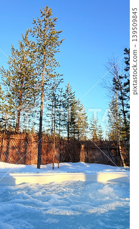 Snowy Pine Forest View from Outdoor Jacuzzi Pool in Lapland Finland 139509845