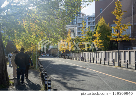 人們沿著銀杏樹成蔭的街道行走，銀杏樹葉金黃燦爛。 139509940