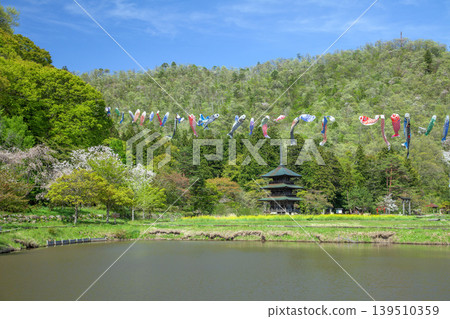 古老村莊歷史公園的春天 古老村莊歷史公園的春天 139510359