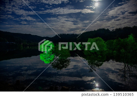 Submerged Forest Light-Up Submerged Forest Light-Up 139510365