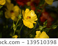 茛 139510398