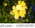 茛 139510399
