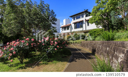 海港景山公園的初夏景色 海港景山公園的初夏景色 139510579