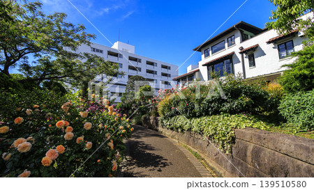 海港景山公園的初夏景色 海港景山公園的初夏景色 139510580