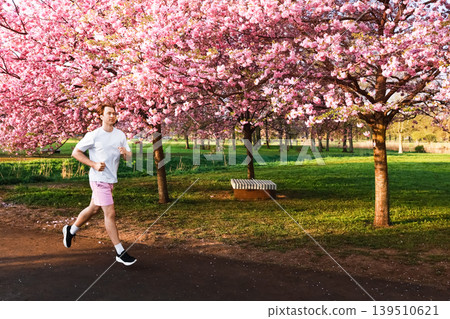 Man jogging under pink cherry blossoms in. A sunlit park scene focused on health, fitness, and outdoor spring exercise. Man jogging under pink cherry blossoms in. A sunlit park scene focused on health, fitness, and outdoor spring exercise. 139510621