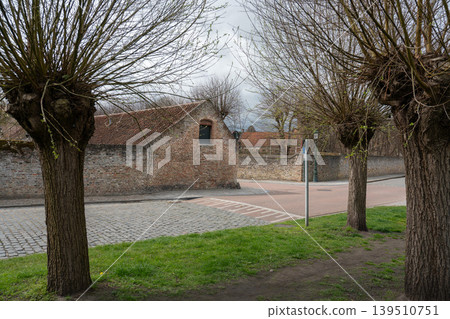 Bruges street scene shows bare trees, green grass, brick wall, tiled roof, empty road, and quiet historic atmosphere. Travel content, urban greenery, architecture marketing, tourism Bruges street scene shows bare trees, green grass, brick wall, tiled roof, empty road, and quiet historic atmosphere. Travel content, urban greenery, architecture marketing, tourism 139510751