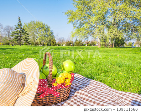 Picnic on green lawn in sunny spring park 139511560