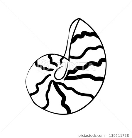 Hand drawn striped spiral shell vector illustration line art sea element Hand drawn striped spiral shell vector illustration line art sea element 139511728