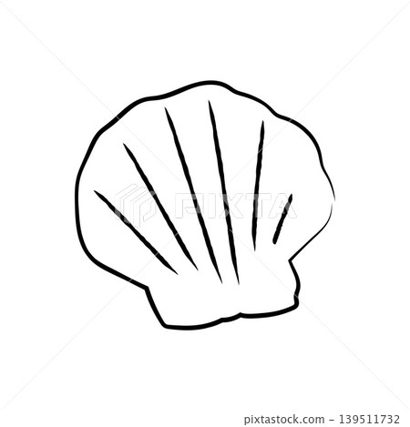 Hand drawn scallop seashell vector illustration line art sea element 139511732