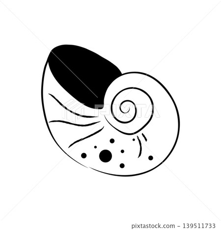 Hand drawn striped spiral seashell vector illustration line art element Hand drawn striped spiral seashell vector illustration line art element 139511733