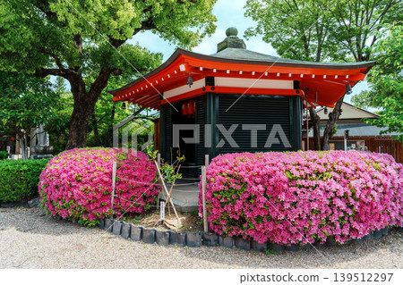 京都Mibisuji 京都Mibisuji 139512297