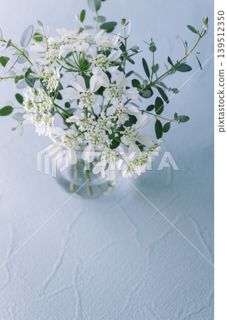 A translucent Orlaya and eucalyptus flower arrangement (background material) 139512350