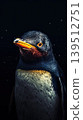 Close-up portrait of a penguin in a dramatic underwater setting 139512751