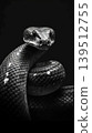 Close up portrait of a coiled snake in dramatic black and white 139512755