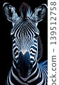 Close-up portrait of a zebra's head and neck against a black background 139512758