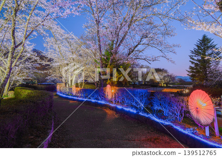 [Akashina Ryumonbuchi Cherry Blossom Festival] Cherry Blossom Illumination [Akashina, Azumino City] 139512765