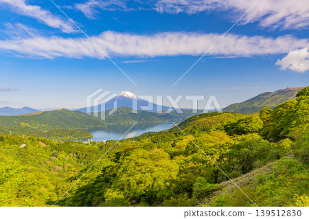 (Kanagawa Prefecture) View of Mt. Fuji from Hakone amidst the fresh greenery. 139512830