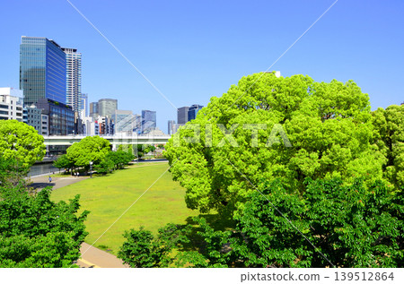 大阪中之島公園草坪廣場 大阪中之島公園草坪廣場 139512864