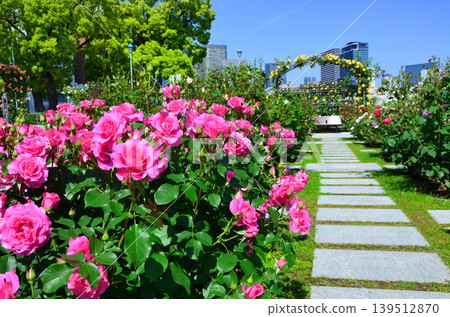 Scenery from Nakanoshima Rose Garden (Osaka) Scenery from Nakanoshima Rose Garden (Osaka) 139512870