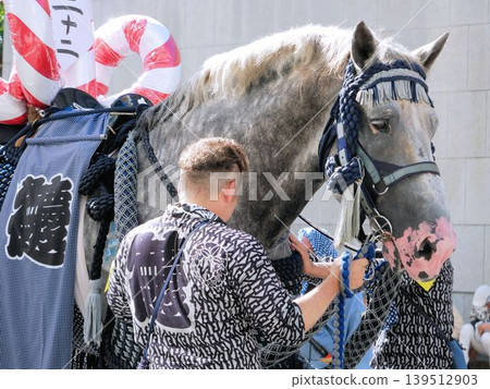 Fujisaki Shrine Grand Festival: A white decorated horse and its handler (Kumamoto City) Fujisaki Shrine Grand Festival: A white decorated horse and its handler (Kumamoto City) 139512903